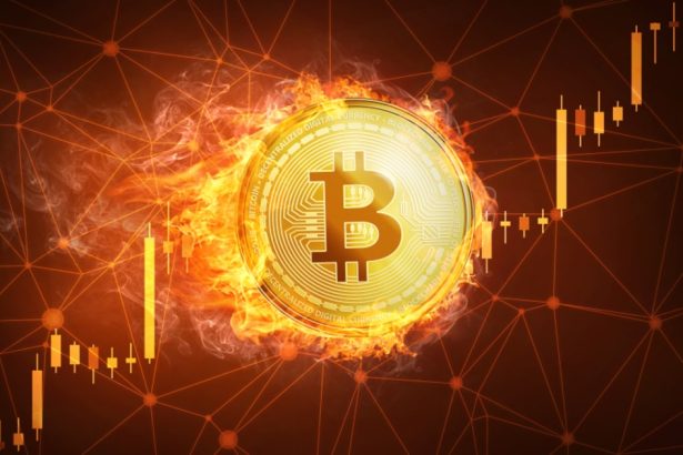 Altcoins Thrive Despite Persistent Outflows in Digital Asset Markets