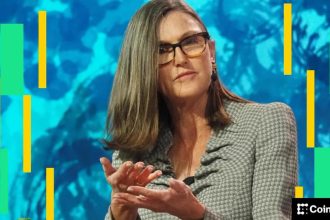 Ark Invest Buys $30.5M Circle Shares as CRCL Stock Price Falls 12%