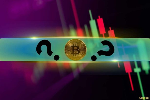 Double-Digit Gains From These Altcoins as Bitcoin Reclaims $106K: Market Watch