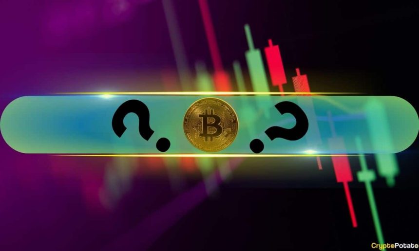Double-Digit Gains From These Altcoins as Bitcoin Reclaims $106K: Market Watch