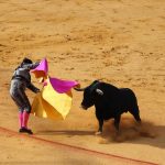 What’s Next for ETH, XRP, ADA, SOL as Trump Dangles a $2K ‘Tariff Dividend’