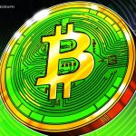 Bitcoin Cash Becomes Year’s Best-Performing L1 With 40% Gain