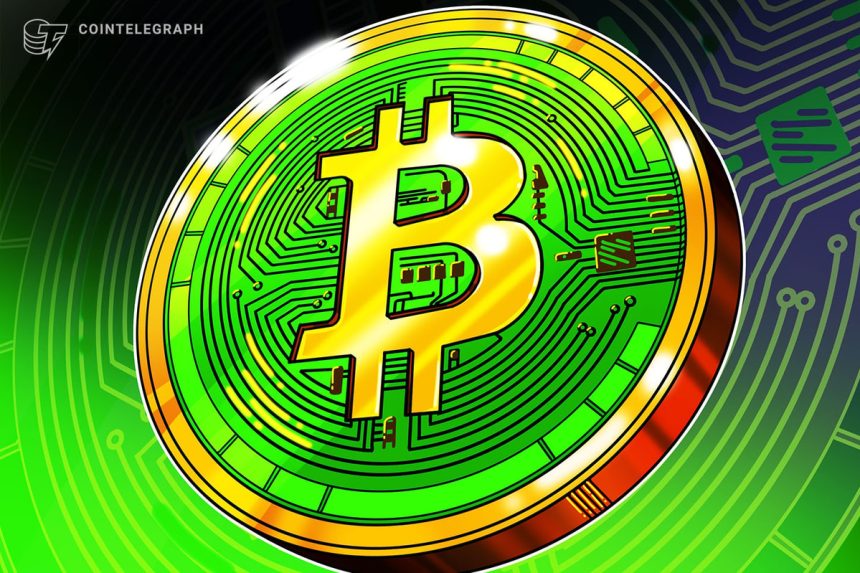 Bitcoin Cash Becomes Year’s Best-Performing L1 With 40% Gain