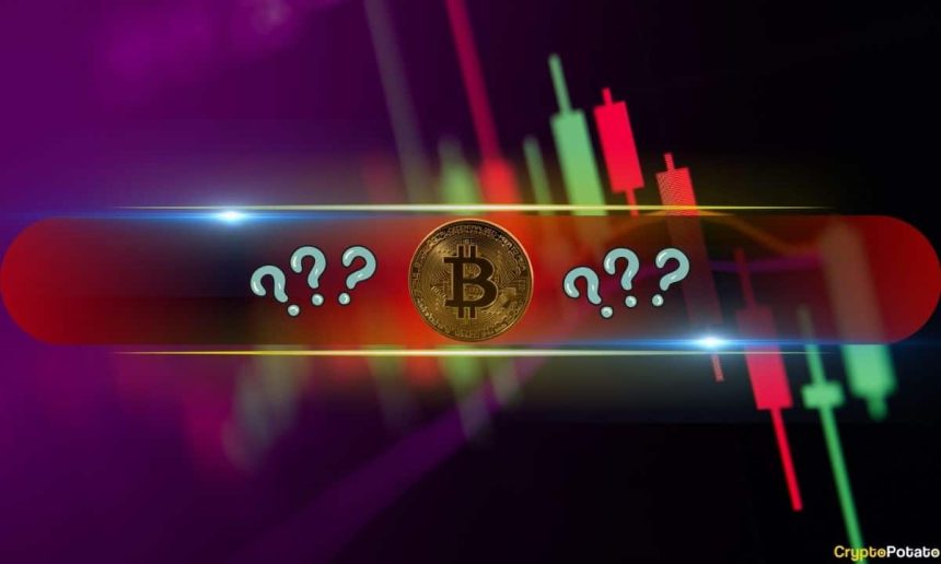 Bitcoin Plummets by $6K Daily as These Altcoins Dump by Double Digits: Market Watch
