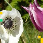 Crypto Markets Today: Bitcoin Holds Near Weekly High, Altcoins Remain Subdued