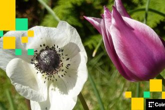 Crypto Markets Today: Bitcoin Holds Near Weekly High, Altcoins Remain Subdued