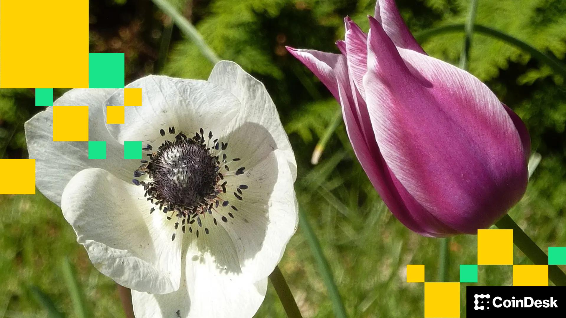 Crypto Markets Today: Bitcoin Holds Near Weekly High, Altcoins Remain Subdued