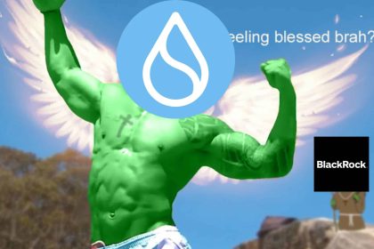 Sui Crypto Surges 30% in a Week: Could This Be the Chain of the Cycle?