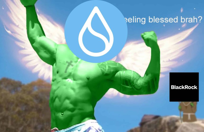 Sui Crypto Surges 30% in a Week: Could This Be the Chain of the Cycle?