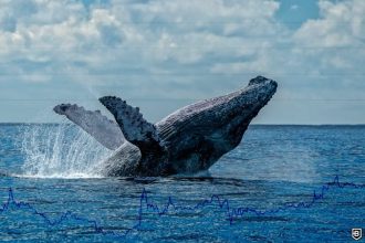 Whales are slowing down... should you worry?