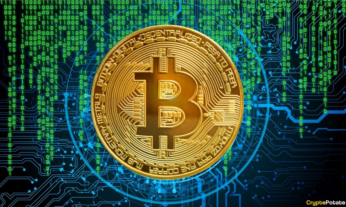 Bitcoin ETFs Bleed $1.25B as Memory Chip ETF Becomes Wall Street’s New Obsession