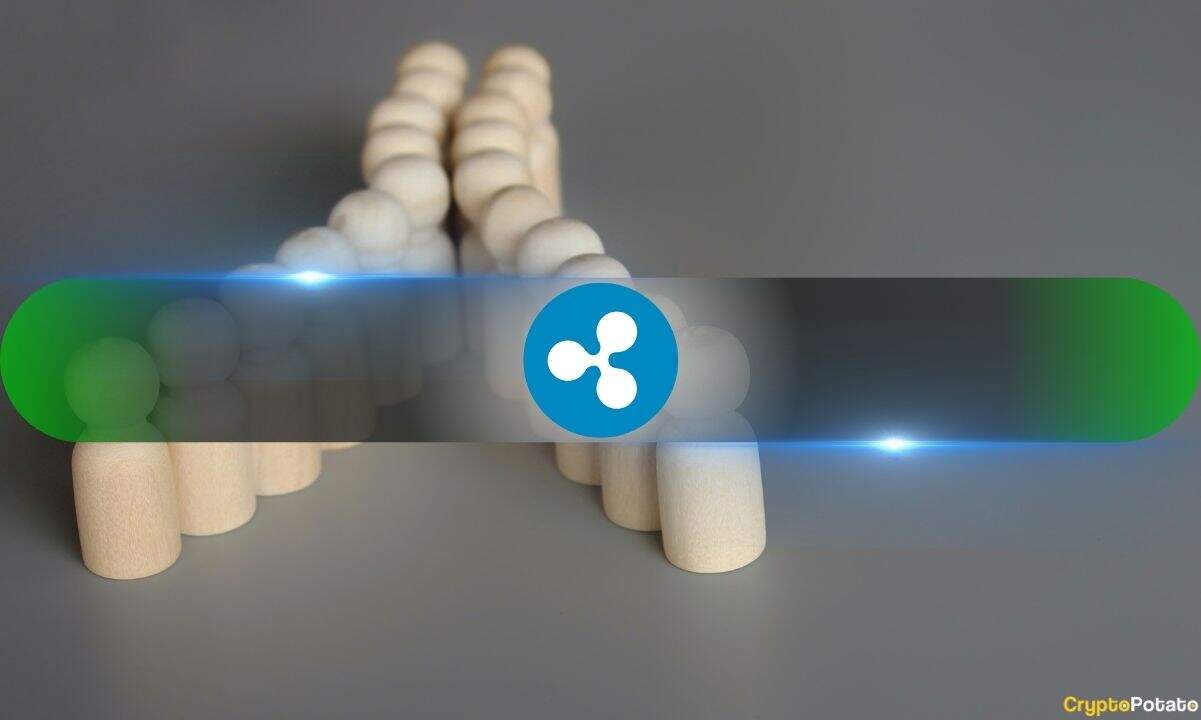 XRP Ledger Activity Soars in Q1 Despite XRP Price Slump: Messari