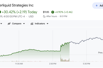 Hyperliquid Strategies (PURR) Stock Performance