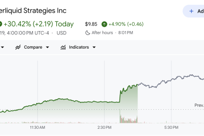 Hyperliquid Strategies (PURR) Stock Performance