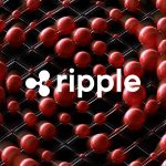 Ripple, Stripe-owned Privy partner to bring embedded wallets to XRP Ledger